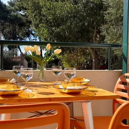 Laste-rondule Appartement *